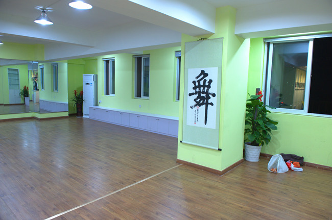 张爽舞蹈培训学校